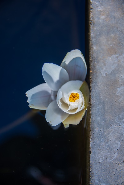 �Ҹ����Ĳ��ɾ�