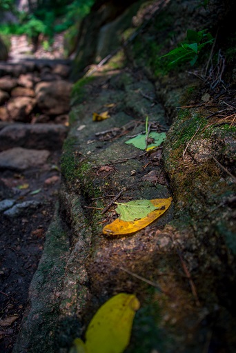 你善良 世界才宽阔